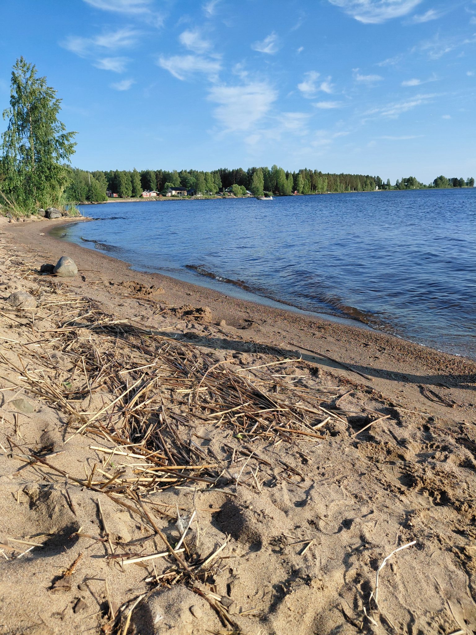 Lappajärvi, ranta.