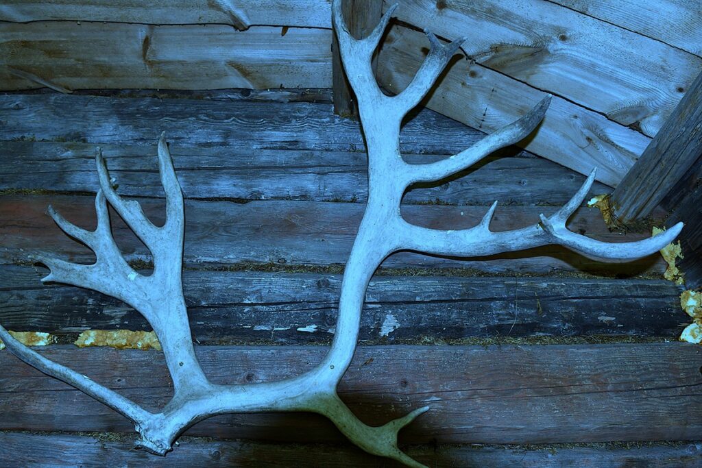Yliluonnolliset tarinat ovat kulkeneet ihmiskunnan mukana aina. 