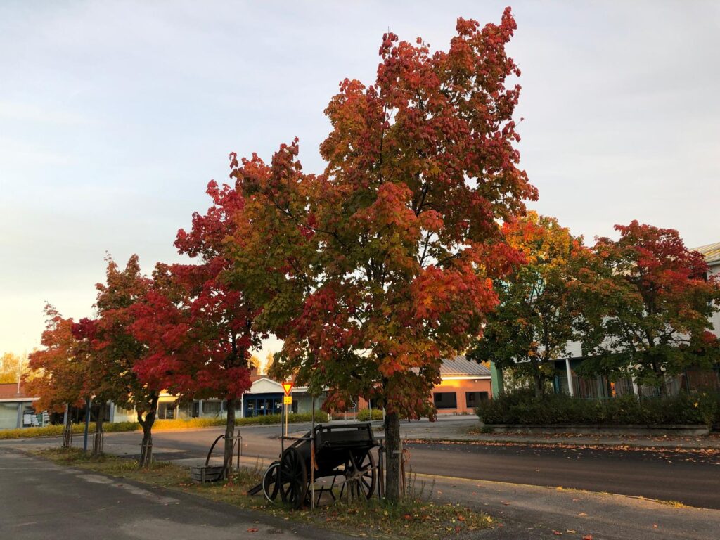 Kansainväliset leirikoulujärjestäjät tutustuvat Lappajärven ja Geoparkin mahdollisuuksiin perjantaina. Kuvituskuva: Maija Perälä.