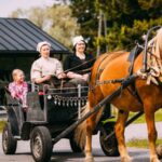 Kulttuuritapahtumat 800x450