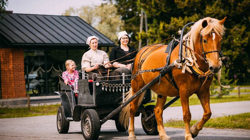 Kulttuuritapahtumat 800x450