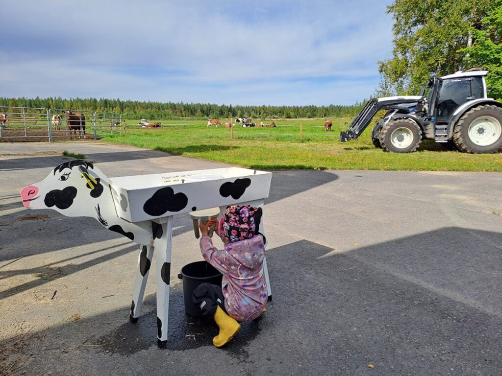 Amalia Kuisti päätti rohkeasti kokeilla leikkilehmän lypsämistä. Taustalla on Karin luomulehmiä autuaan tietämättöminä päivän vilskeestä. Kuva: Tiina Peltonen.