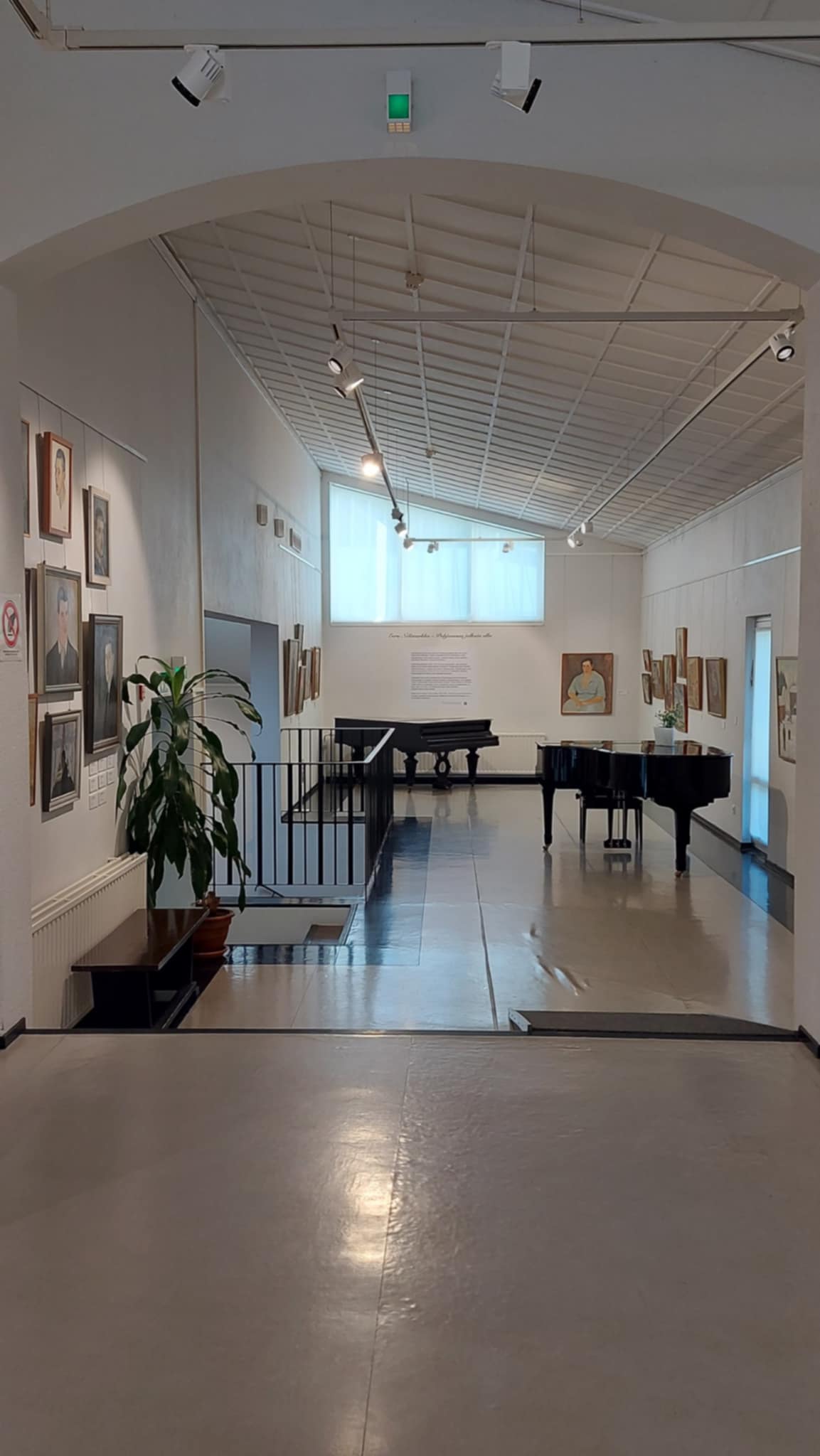 Museon tavoitteena on lisätä hyvinvointia: se on paikka pysähtyä, tutustua kaverin kanssa kokoelmiin, kokea elämyksiä ja osallistua erilaisiin työpajoihin. Arkistokuva Nelimarkka-museolta.