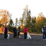 Hietojalla juhlistettiin entistä parempia koiraharrastustiloja Hietojalla juhlistettiin entistä parempia koiraharrastustiloja