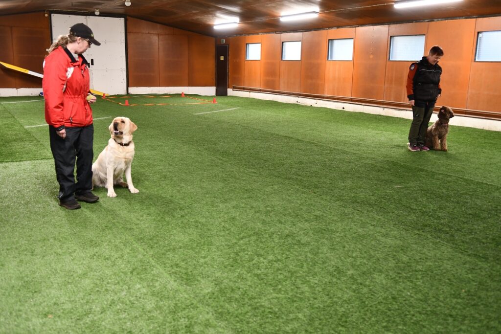 Anu Puustisen Pina ja Helena Isoniemen Pomo ovat vauhdikas kaksikko.