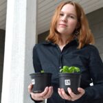 Sanja Hosionaho voitti Järvi-Pohjanmaan lukioiden GSA-tiedekilpailun karsinnan ja matkustaa marraskuussa Japaniin loppukilpailuun. Hän tutki tiedeprojektissaan eri lannoitteiden vaikutusta kasvuun. Mustaherukalla lannoitettu basilika kasvoi vertailueristä vähiten, kananmunan kuorilla lannoitettu eniten.