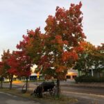 Kuvituskuva Nissin raitilta: Maija Perälä.