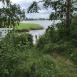 Js ukonniemi hortoilu