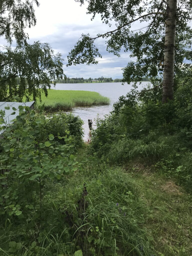 Js ukonniemi hortoilu