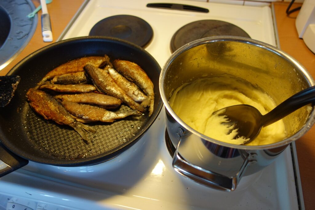 Ensimmäisenä tuli mieleen, että syksyhän on sadonkorjuun aikaa, mutta heti perään huomasin, että eihän minulla mitään satoa ole korjattavana. Mustikat, hunajat ja omenat on korjattu jo kesällä, joten se siitä. Vaimo arveli, että sienestys on parasta syksyllä ja onhan sekin sadonkorjuuta. Puolukassa käynti kuulaassa metsässä on tietysti myös ihan hauskaa. Nyt vain nyppi oikein kunnolla, kun muutaman kerran haahuilin pitkin metsiä löytämättä juuri mitään ja Facebook oli täynnä kuvia, joissa saaliina oli sankokaupalla puolukoita muutaman tunnin poiminnan tuloksena. Sääskien, paarmojen ja muiden ötököiden häviäminen on syksyn hyviä puolia. Toisaalta hirvikärpäset hyökkäävät yleisen syyttäjän lailla päälle, jos liikkuu hirvien oleskelupaikoilla. Tekoäly puolestaan arveli parasta syksyllä Vimpelin alueella olevan luonnon ja listasi geoparkin, kraatterinreunan, Lakeaharjun näkötornin ja kuntoportaat. Tekoäly kehotti myös tutustumaan pesäpallomuseoon, suksimuseoon, pyöreään kirkkoon ja Vimpelin sotakoulun muistomerkkiin. Lopuksi tekoäly arveli, että syksy on hyvää aikaa patikoinnille ja makkaranpaistolle alueen monilla laavuilla. Noo, ei kai noissa ehdotuksissa mitään vikaa ole. Nythän on niin, että joku tykkää kesästä, joku syksystä, joku talvesta ja joku keväästä ja makuasioista on turha kiistellä. Toisaalta syksy ja muut vuodenajat tulevat ja menevät tykkäsi niistä tai ei. Syyskuu on vielä jokseenkin lämmintä ja valoakin riittää illan tunneille. Lokakuun alussa alkaa ruska ja se on monille parasta aikaa ja sitä kelpaa kuulaana syyspäivänä ihailla vaikka Lakeaharjun näkötornista. Ensimmäiset yöpakkaset tulevat viimeistään lokakuussa ja ne saattavat jäädyttää matalat lahdet luisteltaviksi peilikirkkaalla jäällä. Pikkupoikana se taisikin olla syksyn parasta antia. Marraskuussa ilmat sen kuin kylmenevät ja illat pimenevät yhä nopeammin ja ensi lumi sataa viimeistään silloin. Muikunkudun odottelu ja alkaminen olivat aikoinaan jonkinlaisia syksyn kohokohtia. Muikkua kalastettiin ja saatiinkin suuria määriä ja hetken muikkuja syötiin paistettuina, halstrattuina, savustettuina ja suolattunakin. En kuitenkaan sanoisi, että muikunkutu on parasta syksyssä vaikka ihan mukavat muistot lapsuuden kutupyynneistä jäikin. Onkohan niin, että loppusyksystä parasta onkin joulun odotus? Heikki Salmela