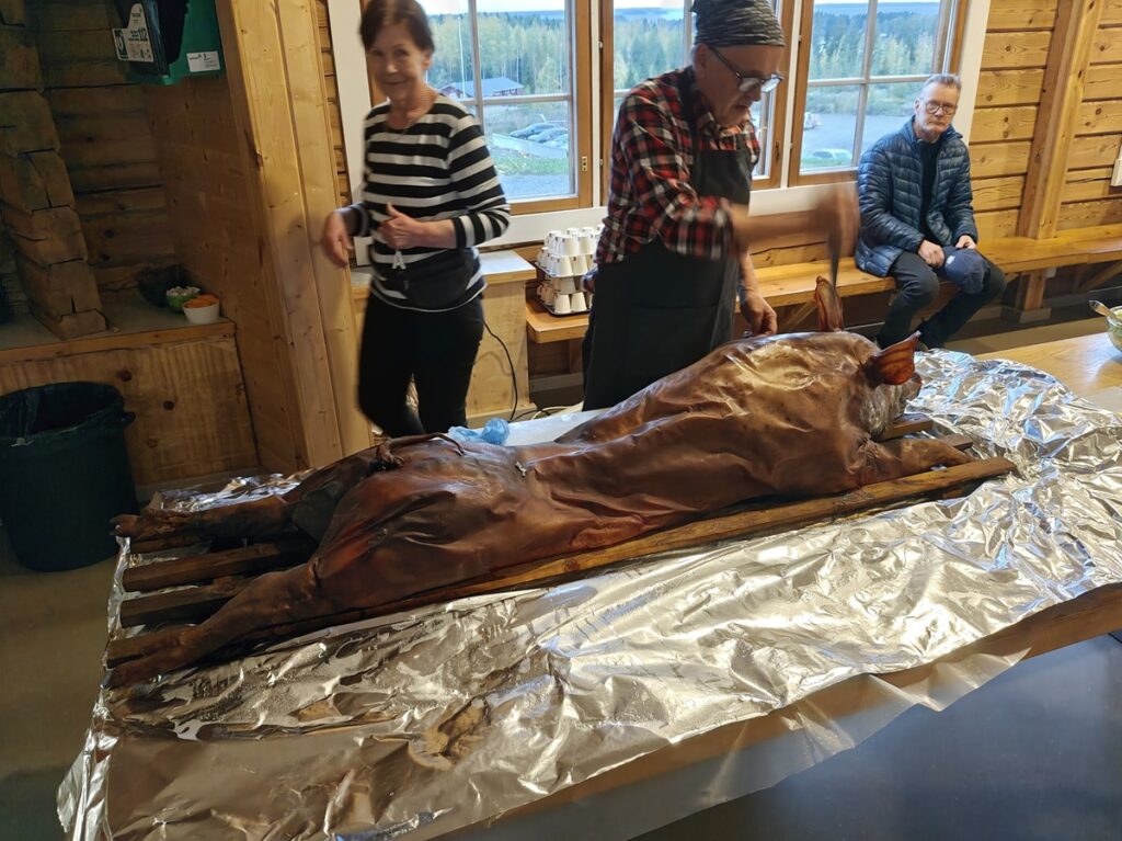 Possu valmiina paloiteltavaksi