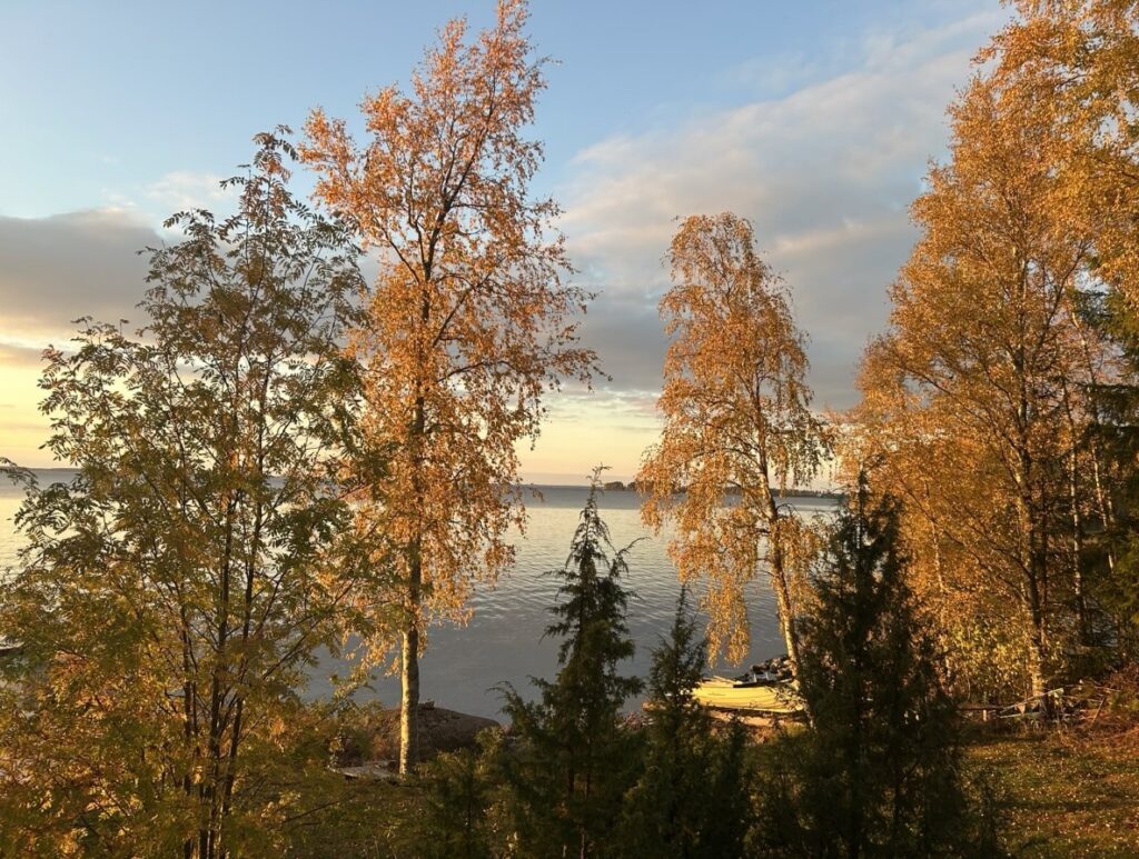 Ruska on monelle syksyn parasta aikaa.