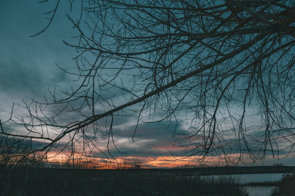 Inspiring view sunset light