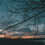 Inspiring view sunset light