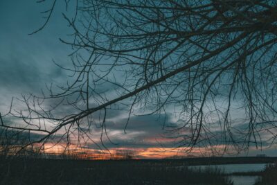 Inspiring view sunset light