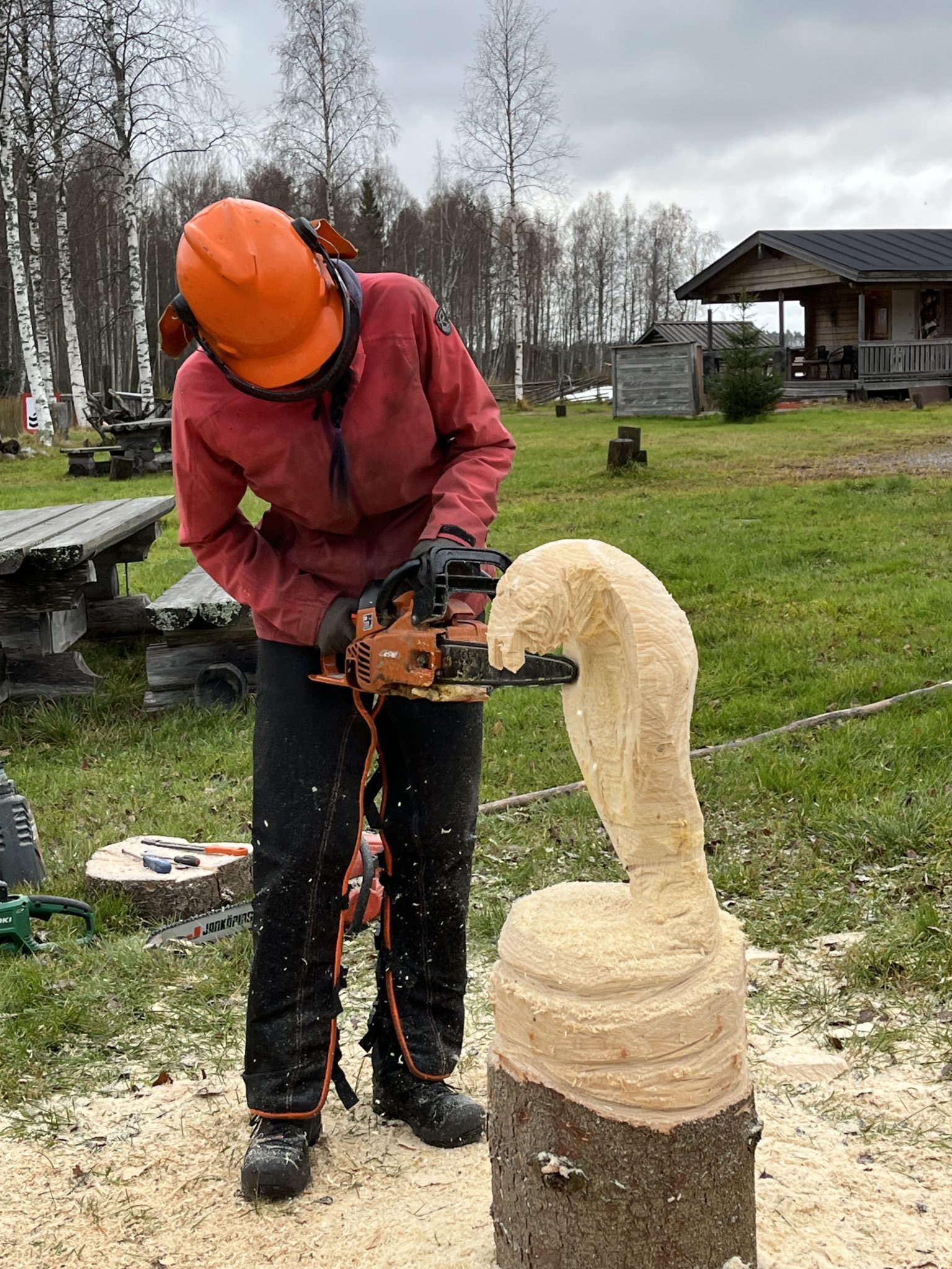 Jenna Huhtalan kalkkarokäärme alkaa hahmottua.