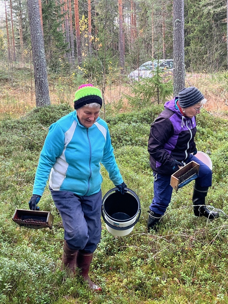 Kaijan (vas.) ja Eilan poimintapäivä alkamassa.