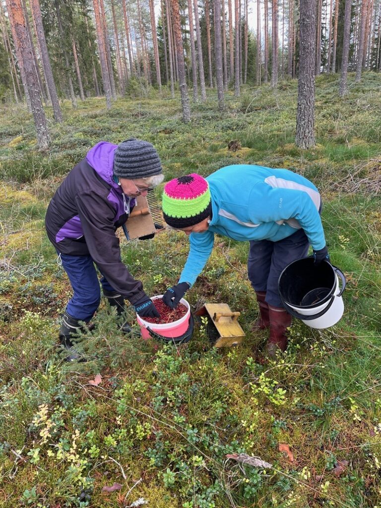 Ensimmäinen sanko täynnä, mutta tämä on vasta alkua.
