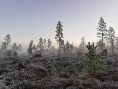 syksy saapuu Järviseudulle joka vuosi ja muistuttaa meitä siitä, että harrastaminen voi olla myös hiljaista, luonnonläheistä ja yhteisöllistä.
