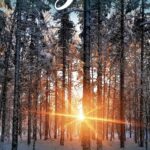 Vimpelin Joulu on ilmestynyt Lehden kansikuvan on ottanut Riitta Koivukoski.