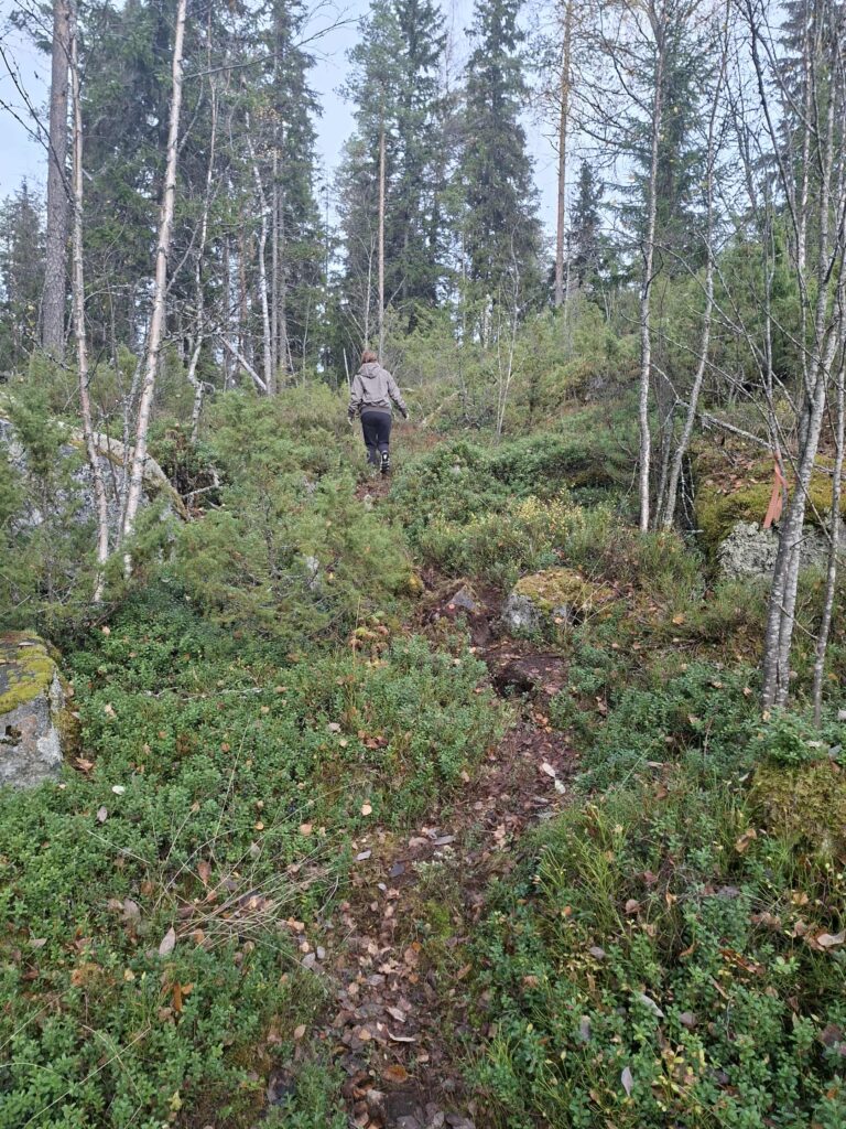 Alasenlammen reitin alkupää on vaihtelevaa, eikä sovi oikein huonojalkaiselle.