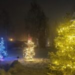 Joulukuusipuisto 1536x864