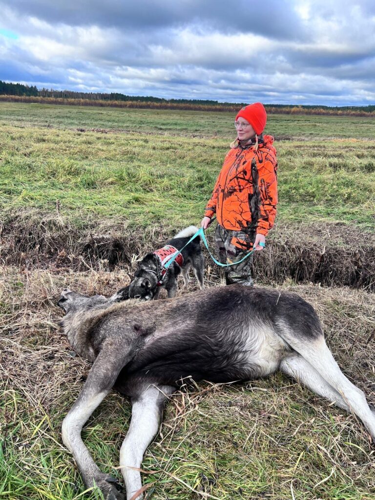 Merja Kujansuu on innokas metsästäjä. Toinen syksy hirviporukassa toi hänelle ensimmäisen oman kaadon. Kuva Jesse Katajan.