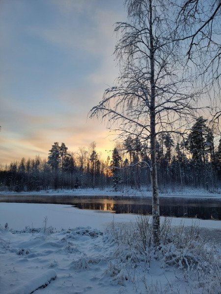 talvinen maisema Talvinen maisema