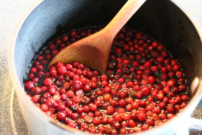 Puolukka Pixabay