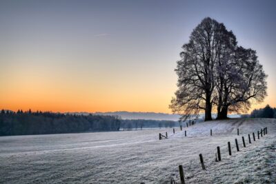 Field surrounded by hills and bare trees covered in the snow during the sunset in winter