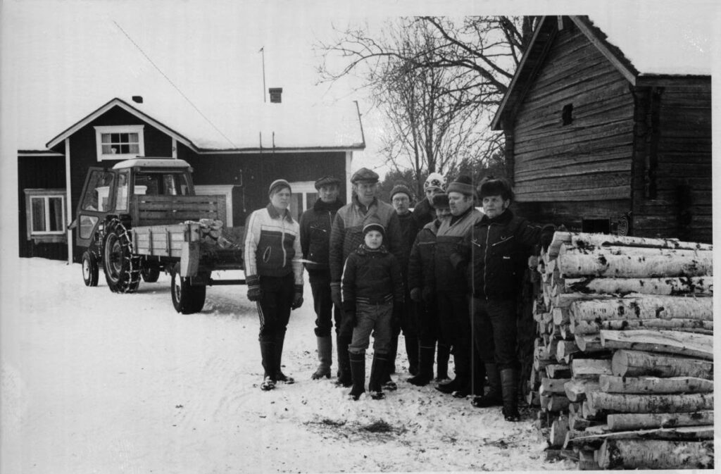 Koivuhalkoa