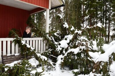 Anne Lauttamus on yrittänyt saada apua Hannes-myrskyn vahingoittamien vaarallisten puiden kaatamiseksi, turhaan.