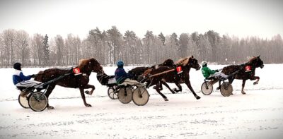 Marjut Luoma kertoo, että rataa hiekoitetaan, jotta kärryt pysyvät radalla. Hevosilla on allaan hokit, eli kenkiin kiinnitettävät nastat. Hokeilla varustetut hevosenkengät ovat tavallaan hevosten talvirenkaat.