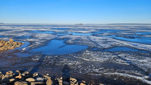 Lappajärven vedenpinta on poikkeuksellisen matalalla. Lappajärven Lehtiniemessä jäät ovat vielä paikoillaan, vaikka järvi on jo pääosin jäätön.