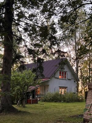 Mökki Alajärven Vähäsaaressa on ollut Heikinheimojen omistuksessa vuodesta 1932. Nykyisin saaressa mökkeilevät Kaarina Heikinheimo ja hänen siskonpoikansa perheineen. Kuvat: Kari Airenteen albumista.