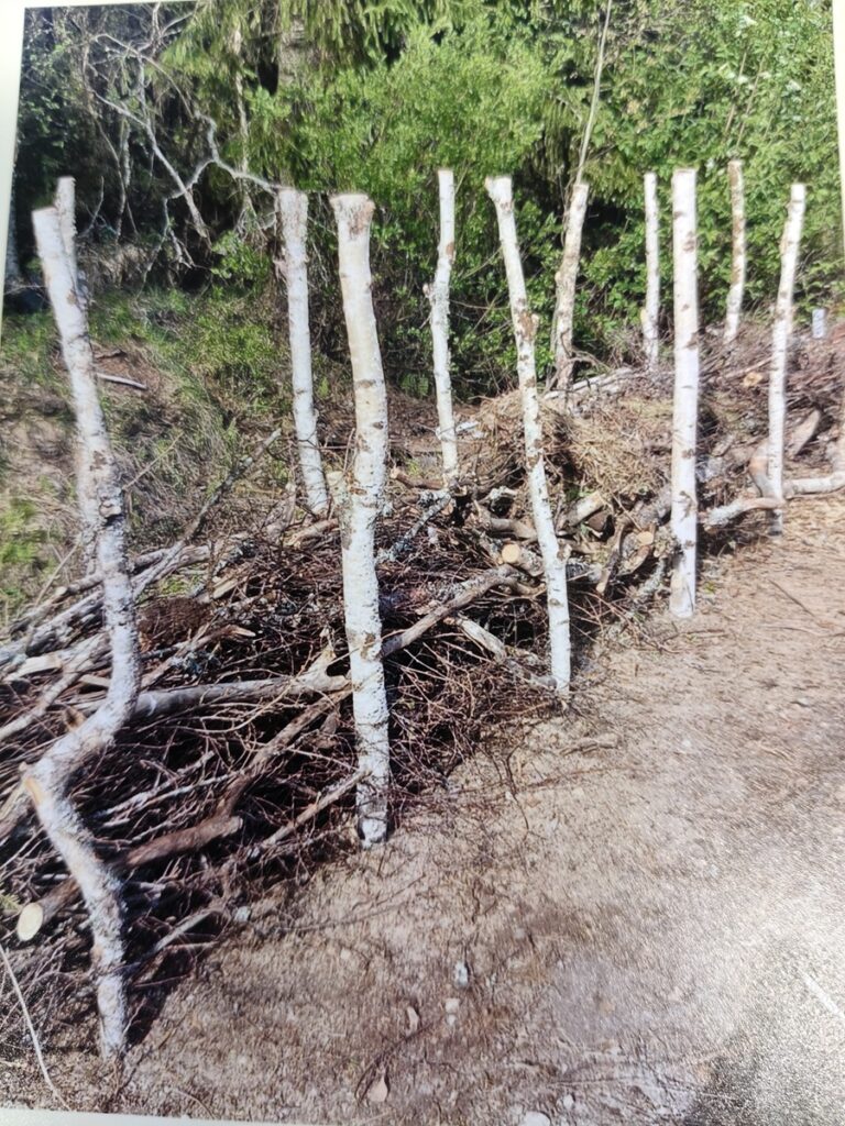 Aita voi olla vaikka tällainen. Ja kun risuaita on tontin reunassa, siihen voi koota kaikki oksat. Risujen alustaa ei ole mitenkään perustettu.