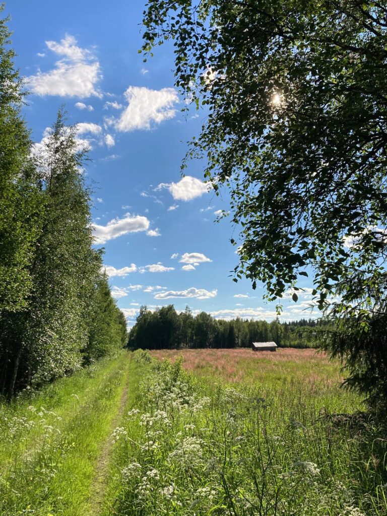 Kytömaisemissa retkeillessä saattaa löytää vanhoja asumuksia, joilla jokaisella on oma tarinansa.