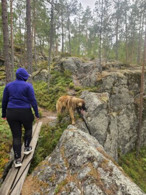Pyhävuori