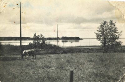 Järvenrantalaidun Pyhälahdessa vuosikymmeniä sitten, Kuvan omistaa Simo Metsäpelto
