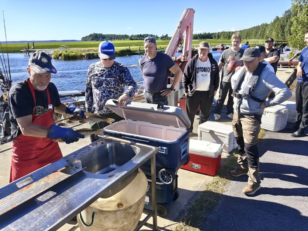 Kari Uusitupa mittasi ja punnitsi yli 1000 kiloa kalaa.