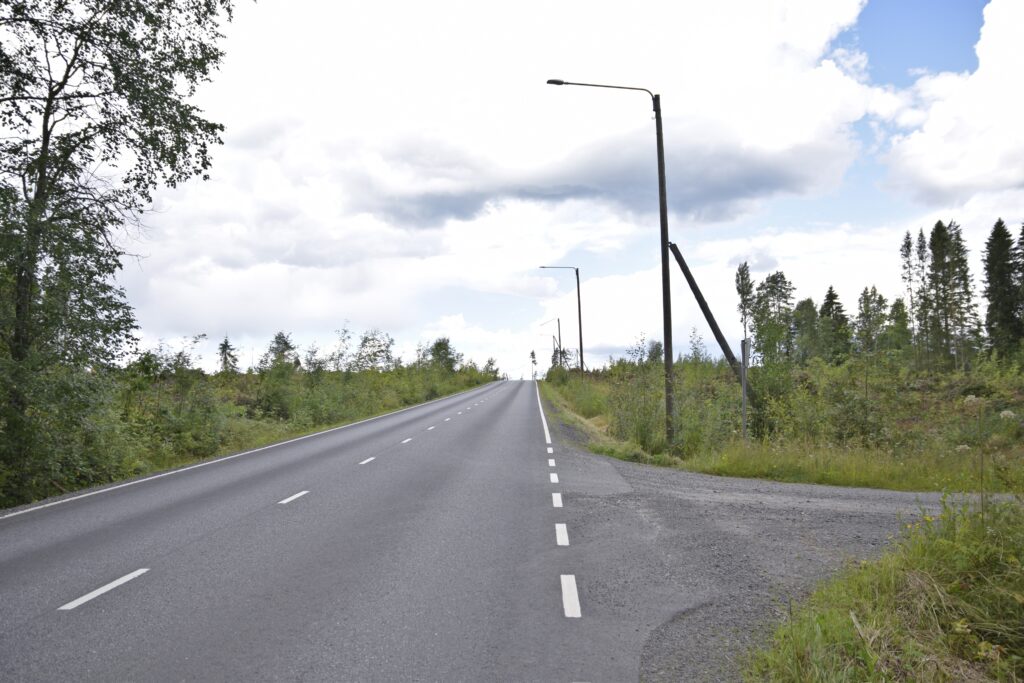 Arkkuvainio