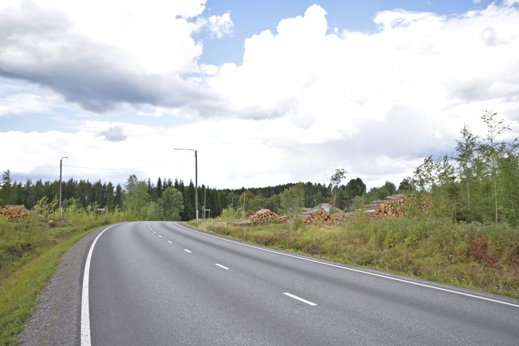 Arkkuvainio
