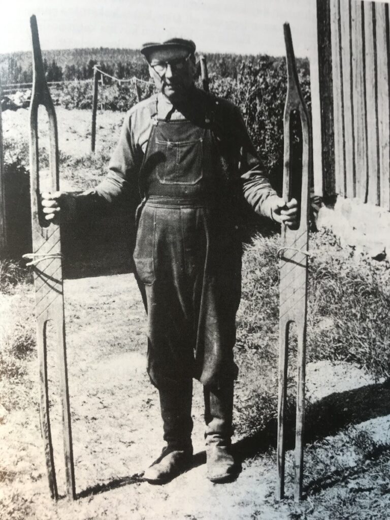 Kortesjärveläinen Eemeli Pellinen esitteli vielä 1800-luvulla korjuussa ”heinäjärvillä” ja -nevoilla käytettyjä nevasuksia V. Tuomaalan kuvassa 1958.