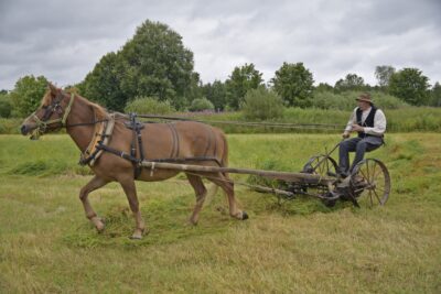 Sääksjärven markkinat 2026