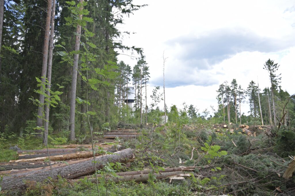Vilpunmäki
