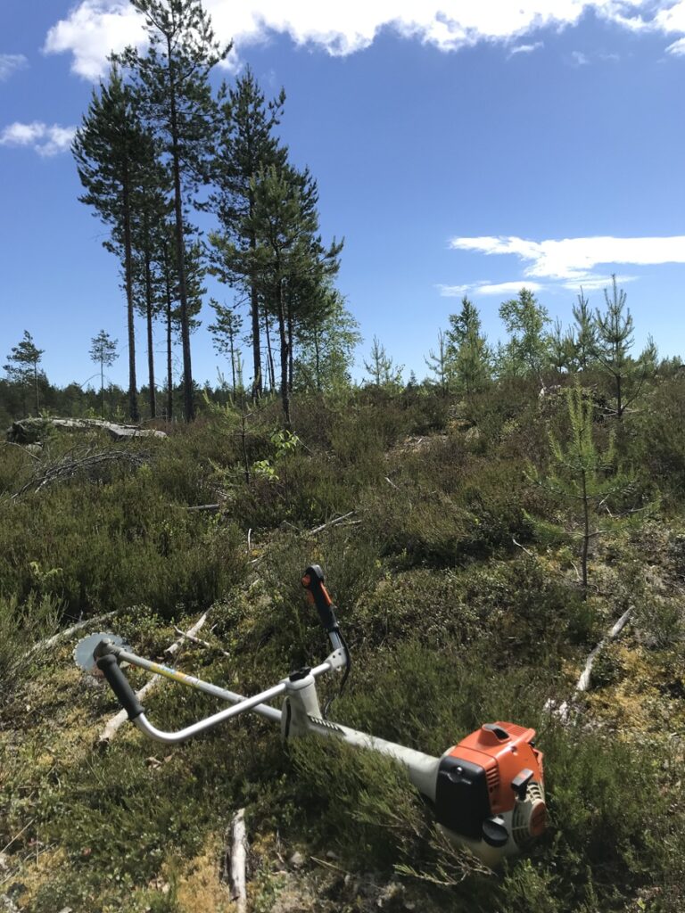 Kymmenkiloisella raivaussahalla työskentely metsässä on erinomaista hyötyliikuntaa.