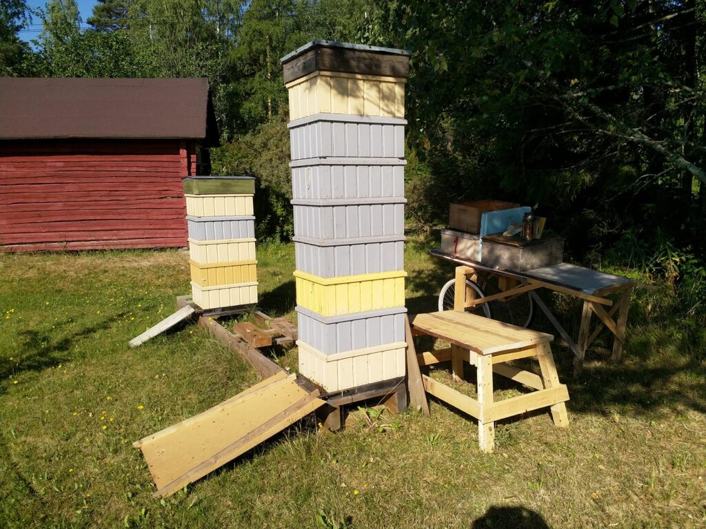 Kaikki valmiina sadonkorjuuseen.