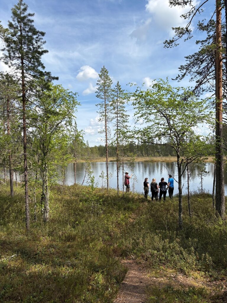 Alajärvellä avataan uusi luontopolku. Kuva: Kraatterijärvi Geopark: Vilma Knibbs.