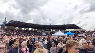 Festarilaaja