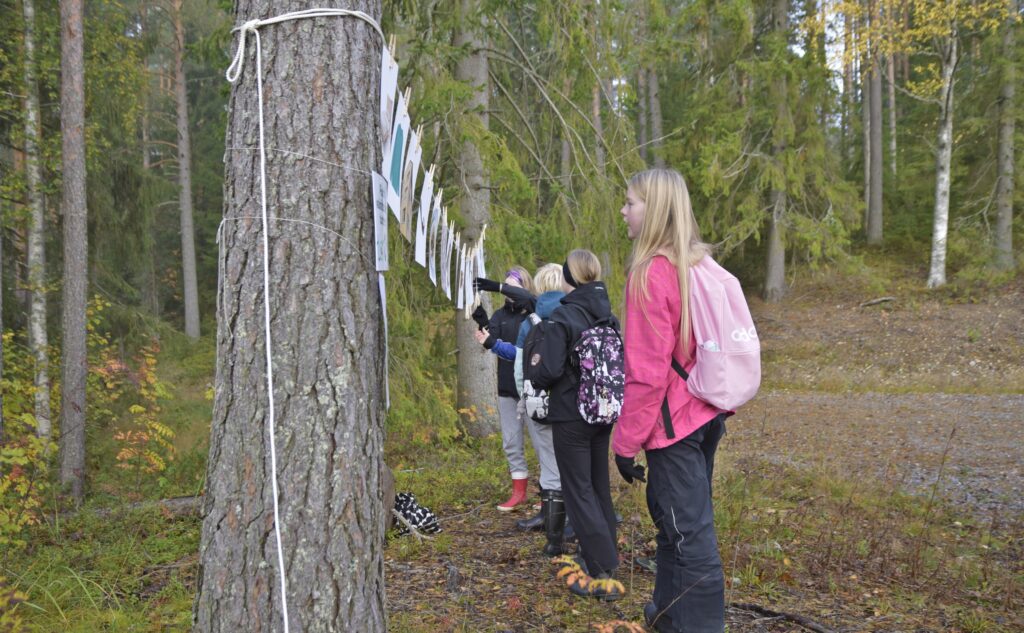 Kaikki kuutoset metsään, Lappajärven Halkosaari